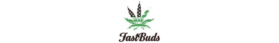 Fast Buds