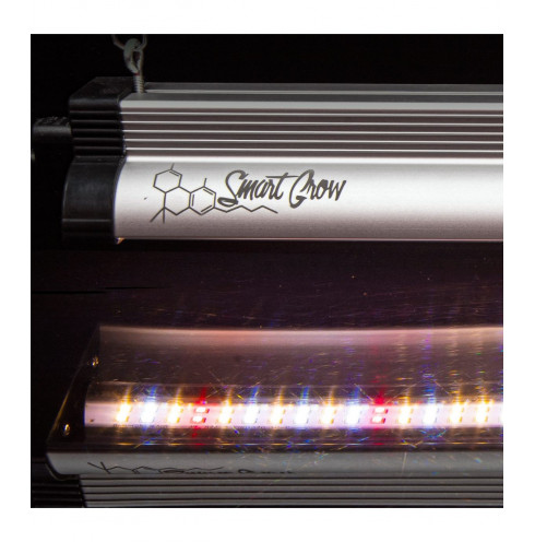 CLONING RAYS 30W (6500k y 3000k+ 460nm+ 660nm) - SMART GROW