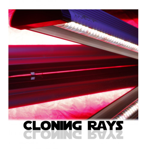 CLONING RAYS 30W (6500k y 3000k+ 460nm+ 660nm) - SMART GROW