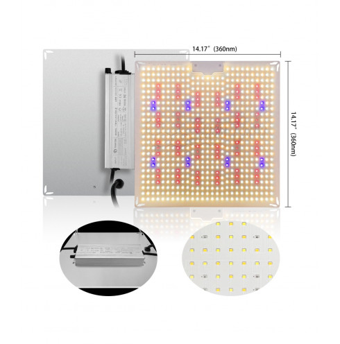 Quantum 200W - Smart Grow