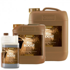 Canna Bioboost 1 lt