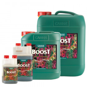 Canna Boost 1 lt