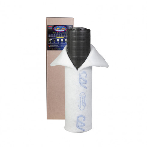 Filtro Carbon CAN-Lite 100-125/425 (425m3)