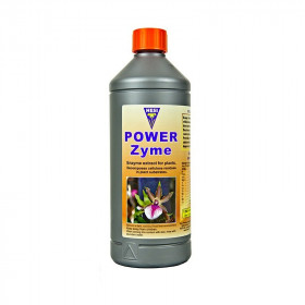 Hesi Power Zyme 1 lit 