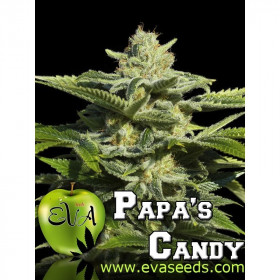 Papa's Candy 3 fem