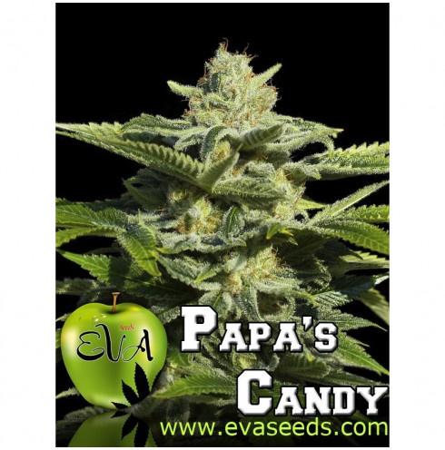 Papa's Candy 3 fem