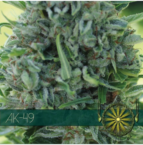 AK-49 5 FEM