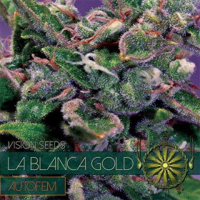 La Blanca Gold AutoFem 10