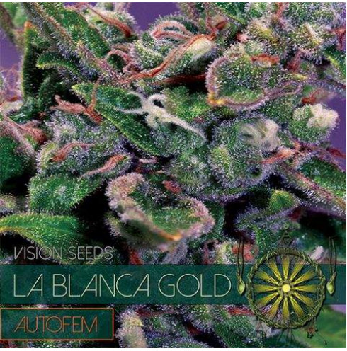 La Blanca Gold AutoFem 5