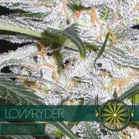 Lowryder - AutoFem 10