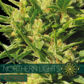 Northern Lights - AutoFem 10