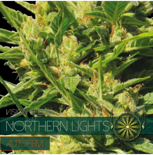 Northern Lights - AutoFem 5