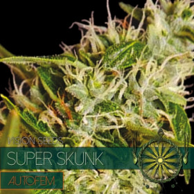 Super Skunk - AutoFem 10