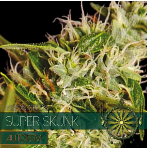 Super Skunk - AutoFem 3