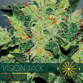 Vision Jack - AutoFem 10