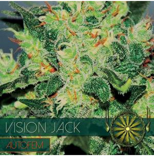 Vision Jack - AutoFem 10