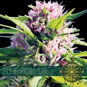 Blue Power 3 fem