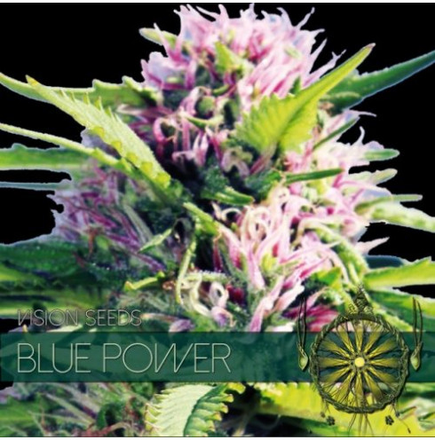 Blue Power 3 fem