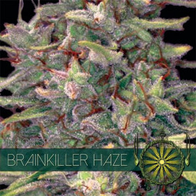 Brainkiller Haze 10 fem