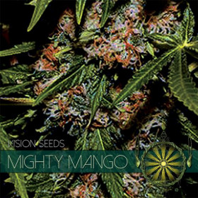 Mighty Mango Bud 10 fem