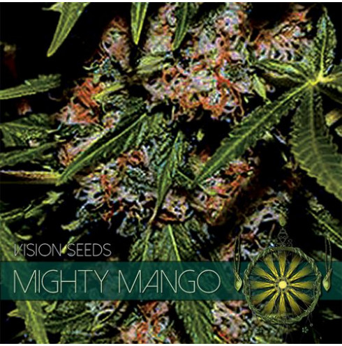 Mighty Mango Bud 3 fem