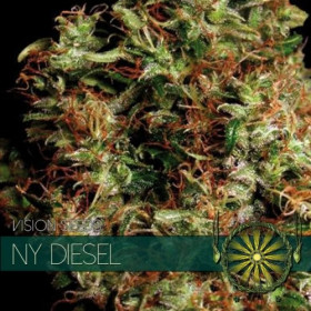 NY Diesel 10 fem