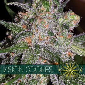 Vision Cookies 10 fem