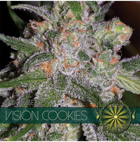 Vision Cookies 5 fem