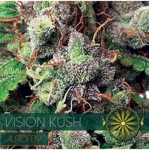 Vision Kush - Autofem 10 