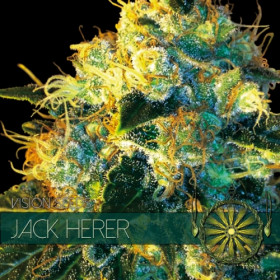 Jack Herer 3 FEM