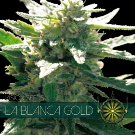 La Blanca Gold 3 FEM