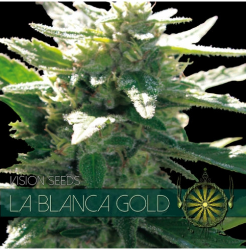 La Blanca Gold 3 FEM