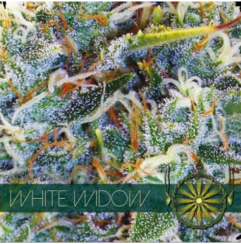 White Widow 5 FEM