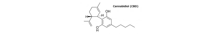 CBD Products